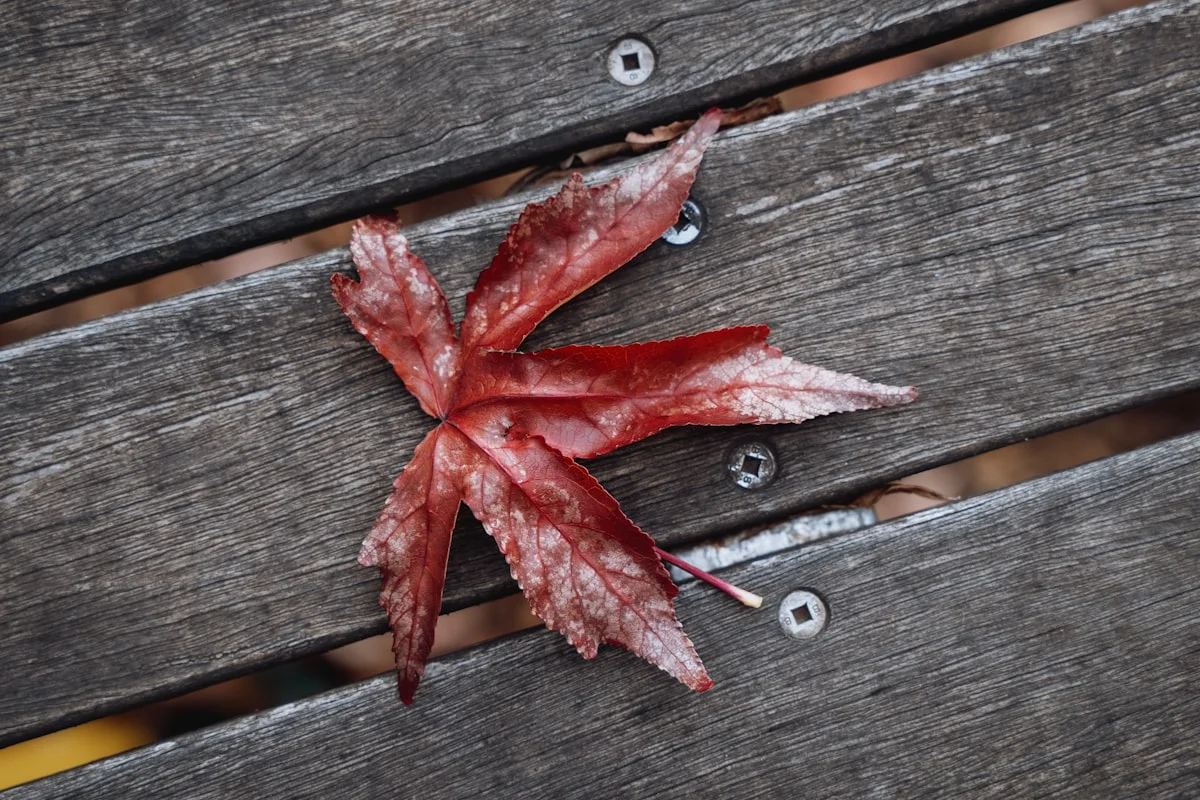 Professional deck construction project in Atlanta Georgia